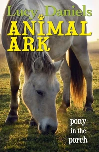 Pony in the Porch