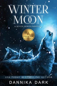 Winter Moon: A Christmas Novella