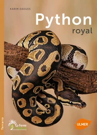 Python royal