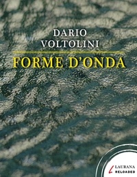 Dario Voltolini - Forme d'onda.