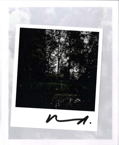 Darren Almond - The Giverny Polaroids - Civil Dawn.