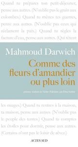 Comme des fleurs d'amandier ou plus loin