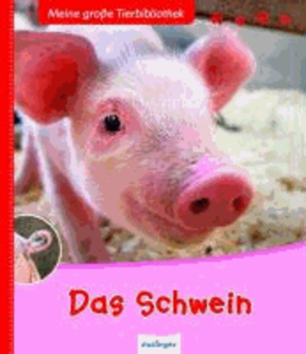 Das Schwein.