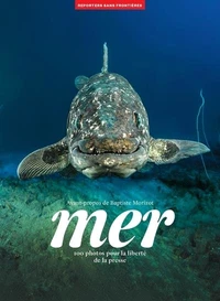 Mer