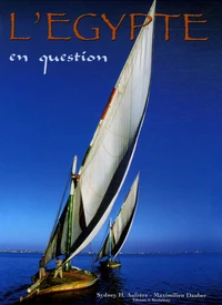 L'Egypte en question