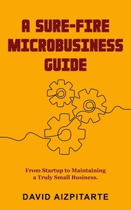  Dave Aizpitarte - A Sure Fire Microbusiness Guide.