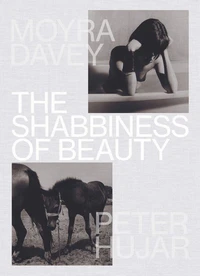 The Shabbiness of Beauty