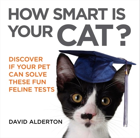 How Smart Is Your Cat?. Discover If Your Pet Can Solve These Fun Feline Tests
