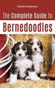 The Complete Guide to Bernedoodles: Everything You Need to Know to Successfully Raise Your Bernedoodle Puppy!
