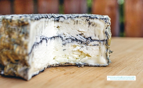 L'art de faire son fromage. Retour aux savoir-faire artisanaux et aux ingrédients naturels pour réaliser des fromages du monde entier
