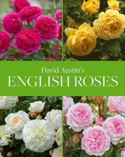 David Austin - English Roses.