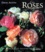 David Austin - Les roses anglaises.