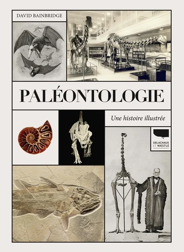 Couverture de Paléontologie : une histoire illustrée