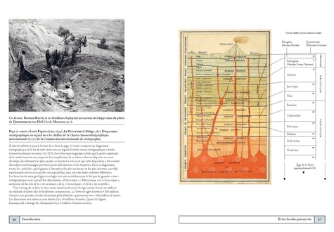 Paléontologie. Une histoire illustrée