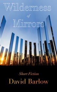  David Barlow - Wilderness of Mirrors.