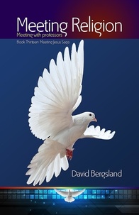  David Bergsland - Meeting Religion - Meeting Jesus Saga, #13.
