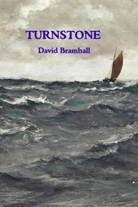  David Bramhall - Turnstone - The Greatest Cape, #4.