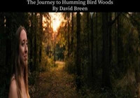 The Journey to Humming Bird Woods