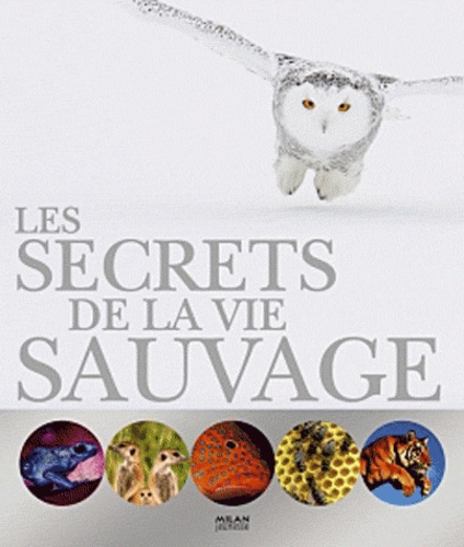 David Burnie - Secrets de la vie sauvage.