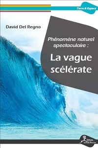 David Del Regno - Phénomène naturel spectaculaire : la vague scélérate.