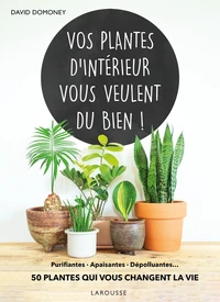 Vos plantes d'intérieur vous veulent du bien !