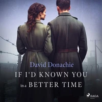 If I'd Known You in a Better Time