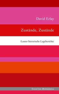 David Erlay - Zustände, Zustände - Lauter literarische Lageberichte.