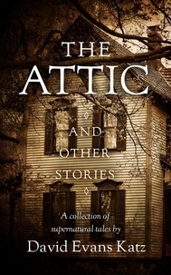  David Evans Katz - The Attic and Other Stories.