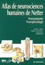 David Felten et Ralph Jozefowicz - Atlas de Neurosciences humaines de Netter.