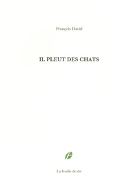 Il pleut des chats