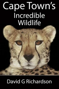 Cape Town's Incredible Wildlife