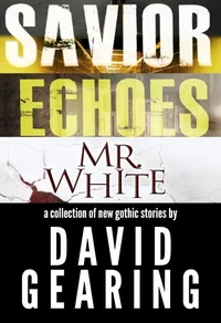 The Saraday Collection: A Collection of New Gothic Stories