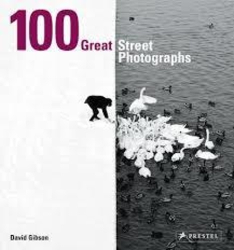David Gibson - 100 Great Street Photographs.