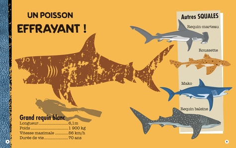 Construis en 3D un requin géant. Avec un livret de 48 pages