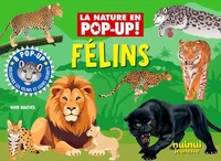 La nature en pop up - Félins