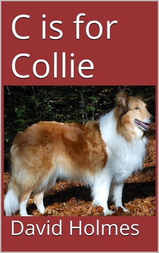  David Holmes - C is for Collie - The Dog Finders.