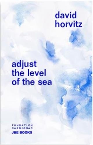 David Horvitz - Adjust the Level of the Sea.