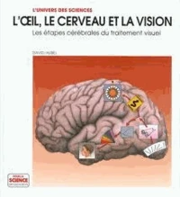 L'Oeil, Le Cerveau Et La Vision. Les Etapes Cerebrales Du Traitement Visuel