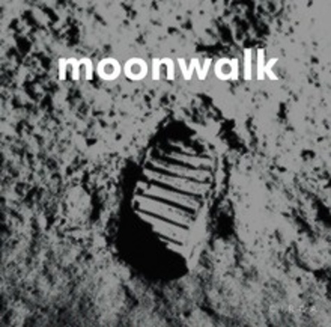 David Jenkins - Moonwalk the story of the apollo 11 moon landing.