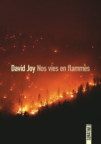 David Joy - Nos vies en flammes.