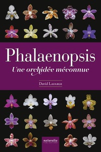 David Lafarge - Phalaenopsis - Une orchidée méconnue.
