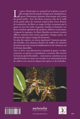 Phalaenopsis. Une orchidée méconnue