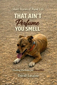 THAT AIN'T PERFUME YOU SMELL TRADING POTHOLES FOR HORSESHIT