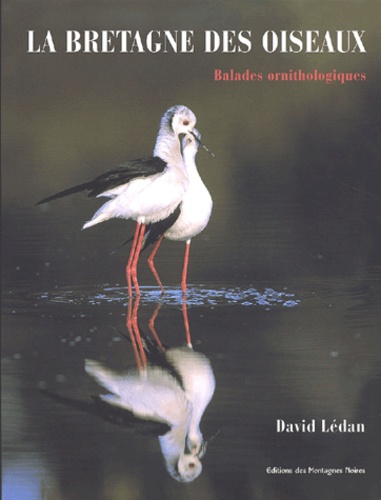 David Lédan - La Bretagne des oiseaux - Balades ornithologiques.