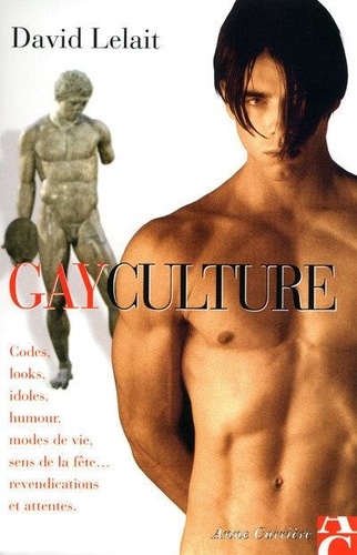 David Lelait - Gayculture - Codes, looks, idoles, humour, modes de vie, sens de la fête, revendications et attentes.
