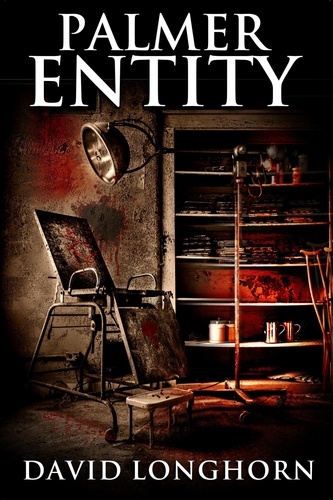  David Longhorn et  Scare Street - Palmer Entity - Asylum Series, #2.