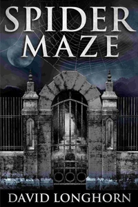 Spider Maze