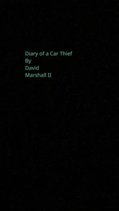 Diary of a Car Thief
