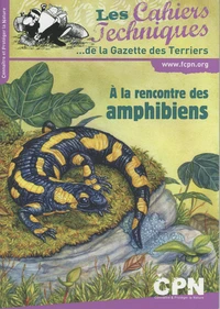 A la rencontre des amphibiens