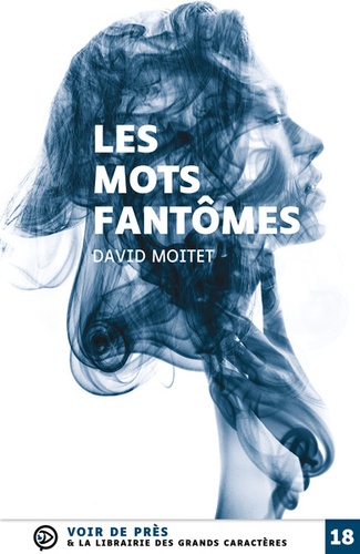 David Moitet - Les mots fantômes.
